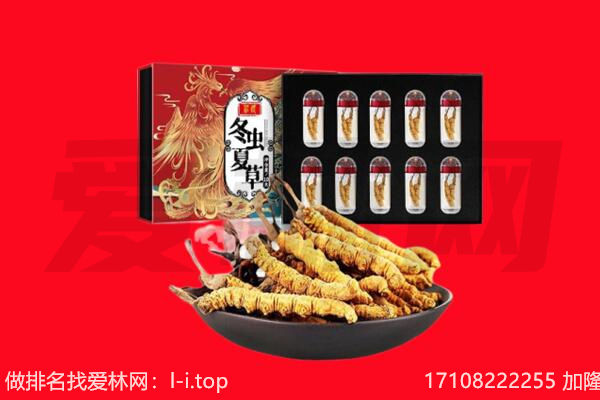 平凉崇信县回收虫草.jpg